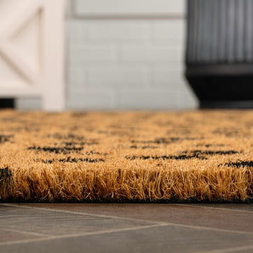 Daphne Modern Classic Animal-spot Bordered Coir Area Rug